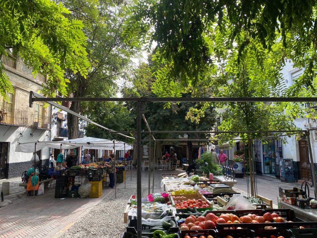 Al-Mansur Daire Granada Dış mekan fotoğraf